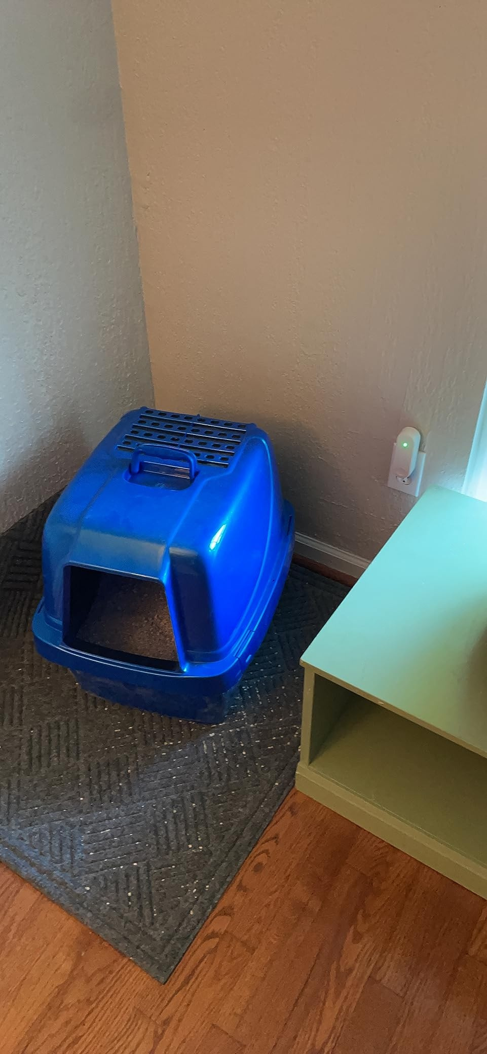 Lisa's litter box